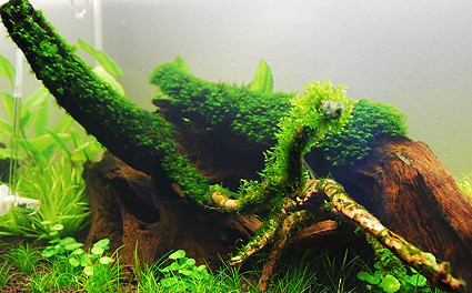 f:id:crimu:20101129001247j:image f:id:crimu:20101129001247j:image