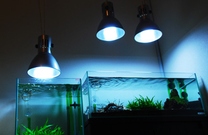 f:id:crimu:20101129001425j:image f:id:crimu:20101129001425j:image