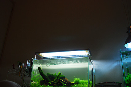 f:id:crimu:20101129001433j:image f:id:crimu:20101129001433j:image