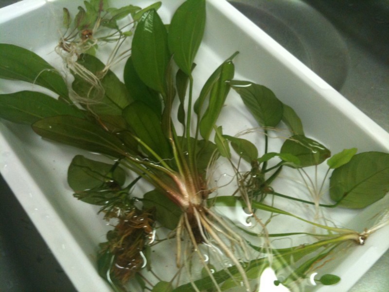 f:id:crimu:20110425000958j:image f:id:crimu:20110425000958j:image