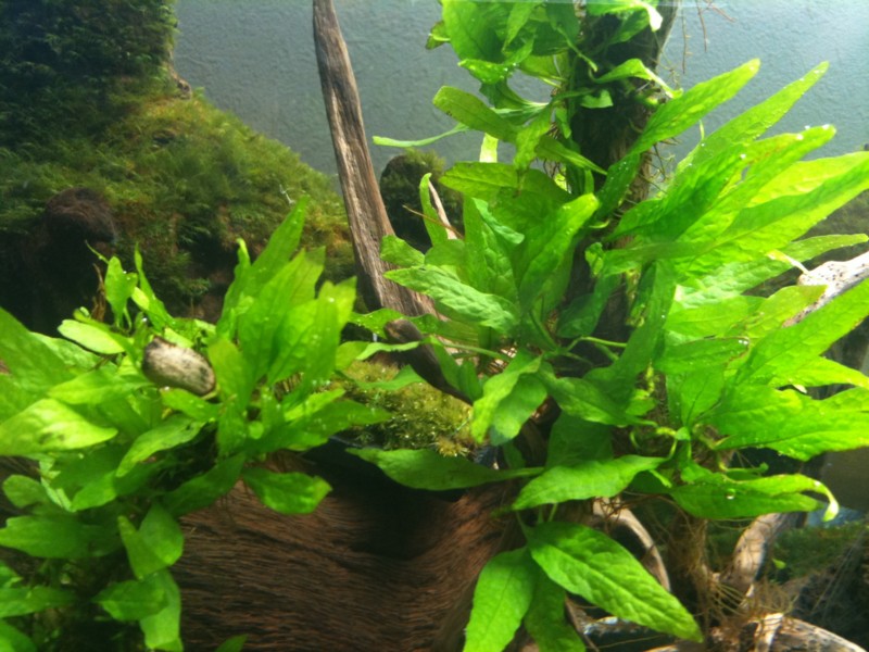 f:id:crimu:20110425001002j:image f:id:crimu:20110425001002j:image