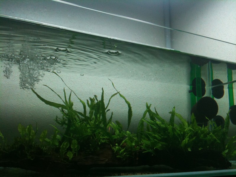 f:id:crimu:20110425001003j:image f:id:crimu:20110425001003j:image