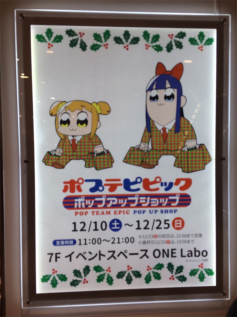 f:id:croccel:20161220210832j:image f:id:croccel:20161220210832j:image
