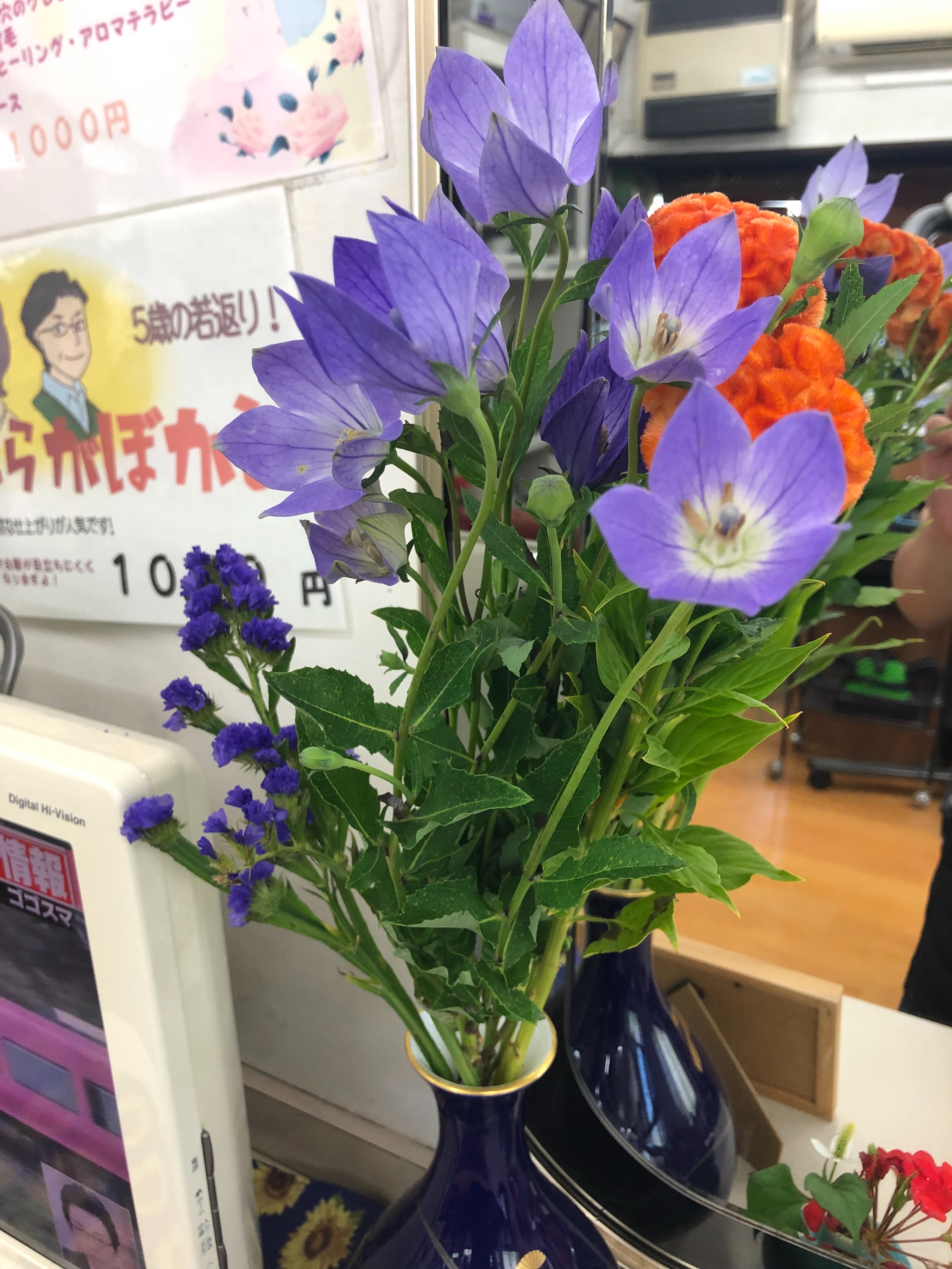 f:id:crockett:20190624062709j:image f:id:crockett:20190624062709j:image