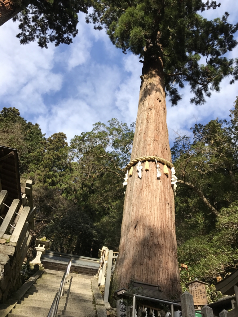 f:id:croissantchicago:20161229120736j:plain f:id:croissantchicago:20161229120736j:plain