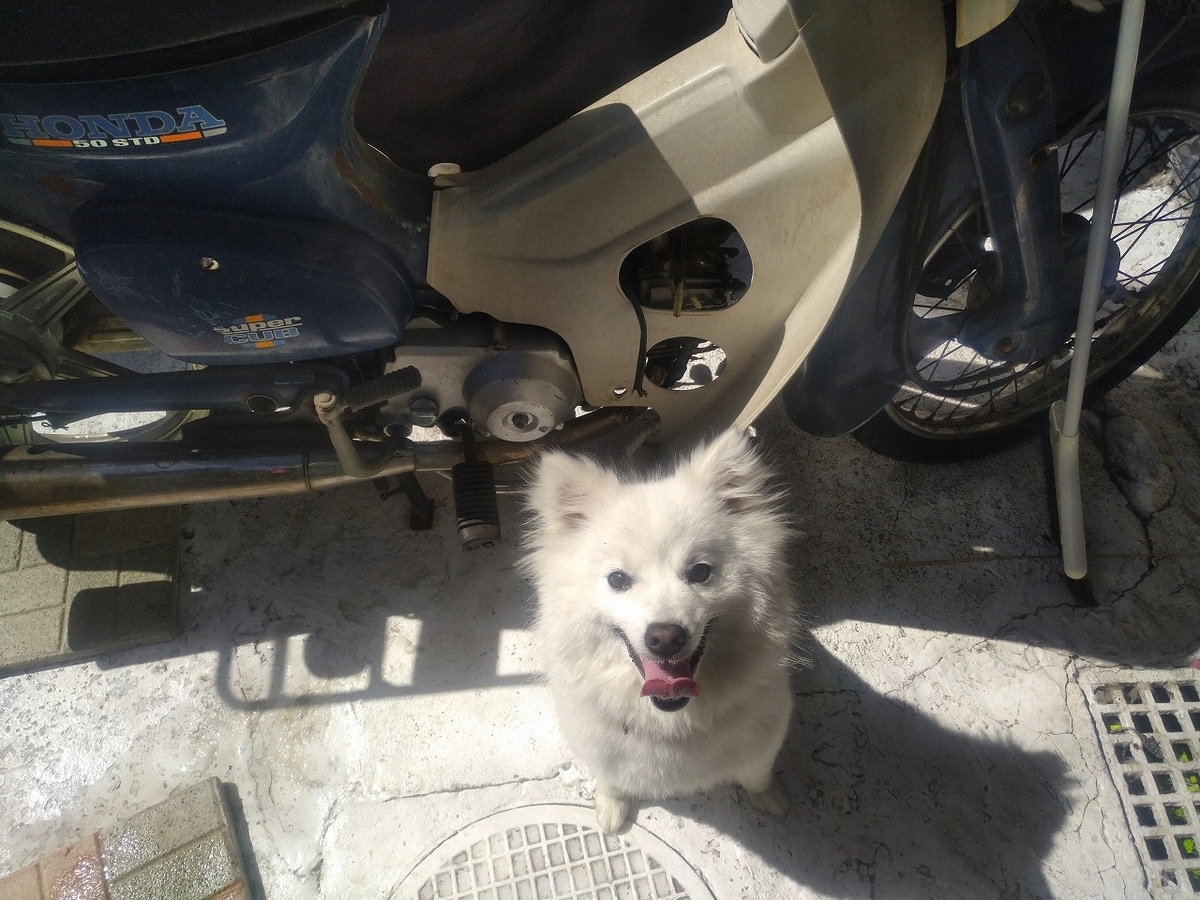 f:id:cross-ja45:20210418181211j:plain