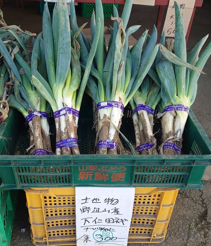 f:id:cross-ja45:20211018211201j:plain