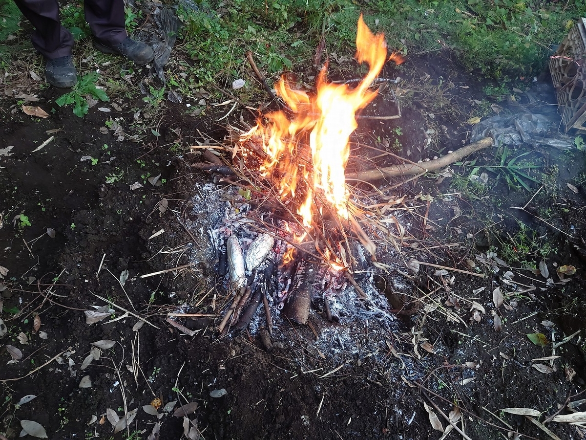 f:id:cross-ja45:20211018212142j:plain