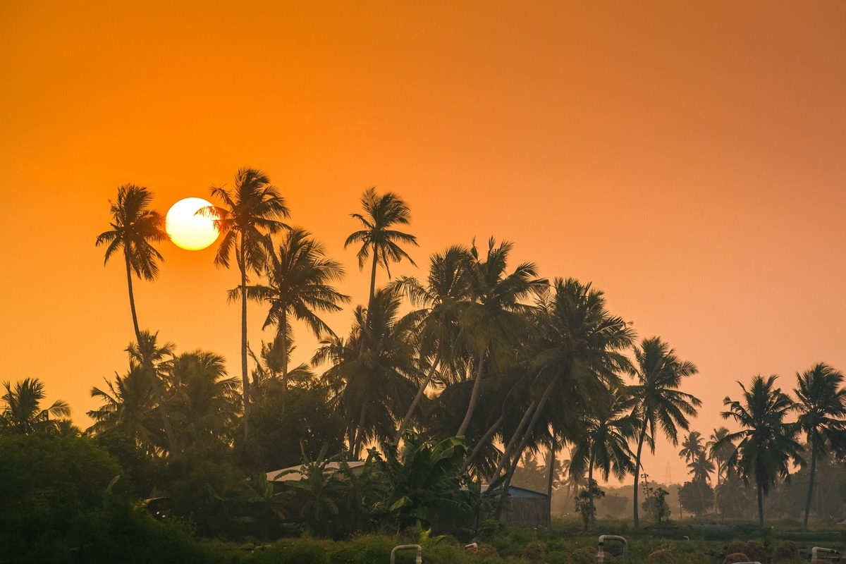 f:id:cross_hyou:20210706204310j:plain