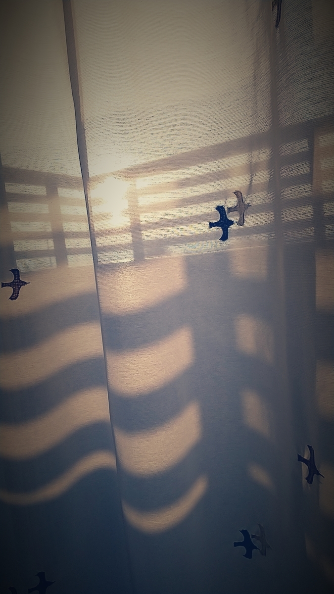 f:id:crossboder:20210127153019j:plain