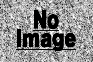 f:id:crossbridge:20091127141844g:image