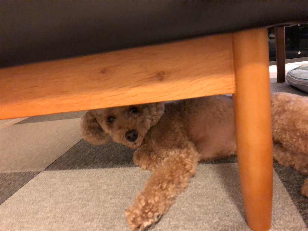 f:id:crosson_kagawa:20180720222116j:image f:id:crosson_kagawa:20180720222116j:image