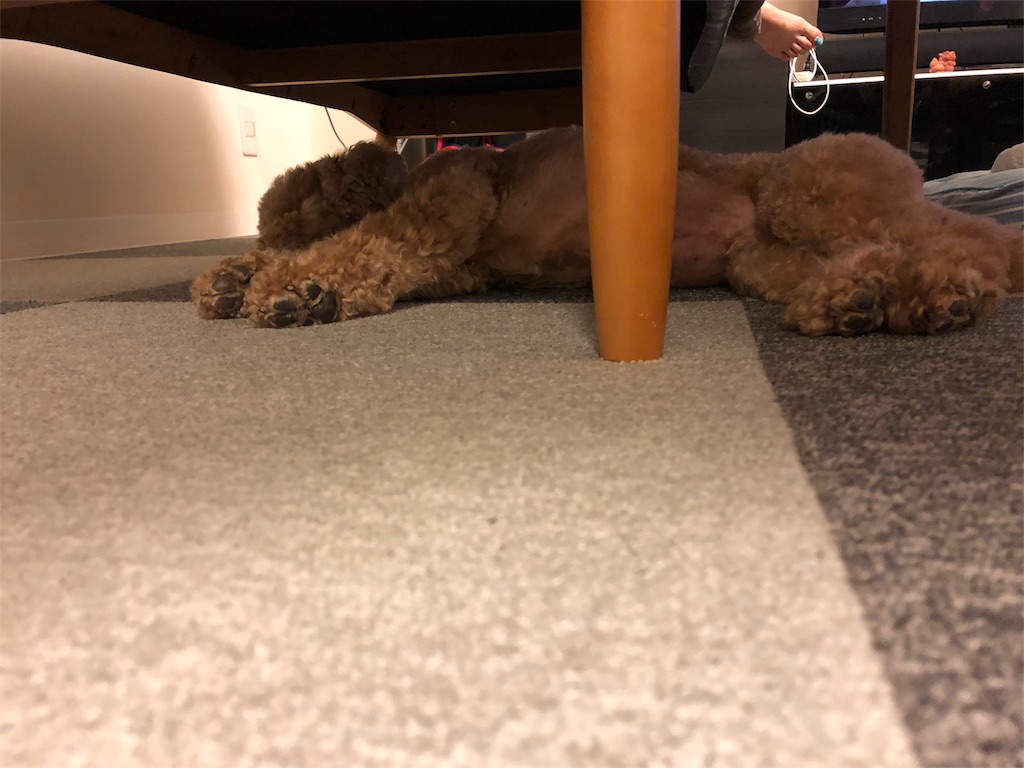 f:id:crosson_kagawa:20180720222255j:image f:id:crosson_kagawa:20180720222255j:image