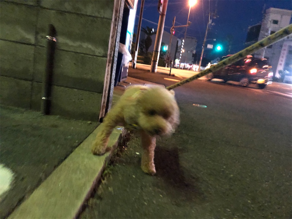f:id:crosson_kagawa:20200612221755j:image