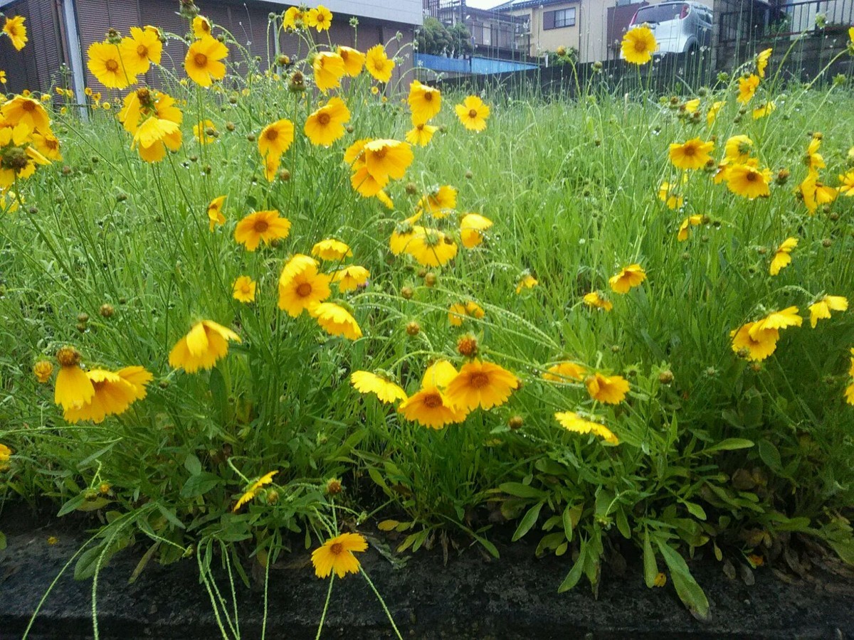 f:id:crosstalk:20190522144627j:plain:w500