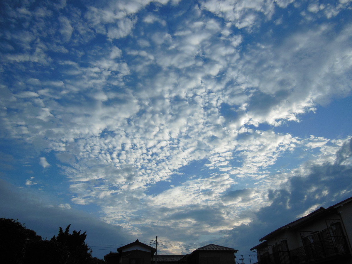 f:id:crosstalk:20190822173843j:plain:w500