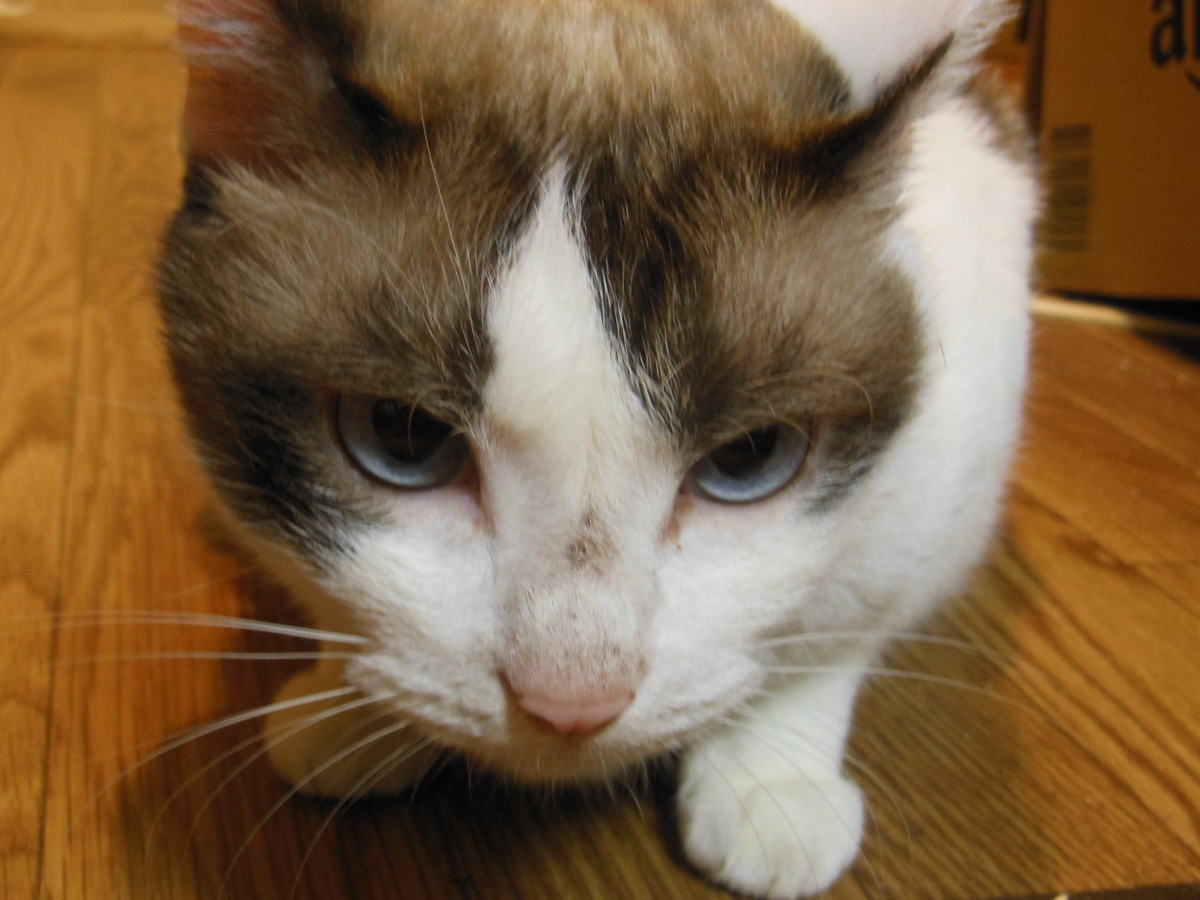 f:id:crosstalk:20190827195521j:plain:w500