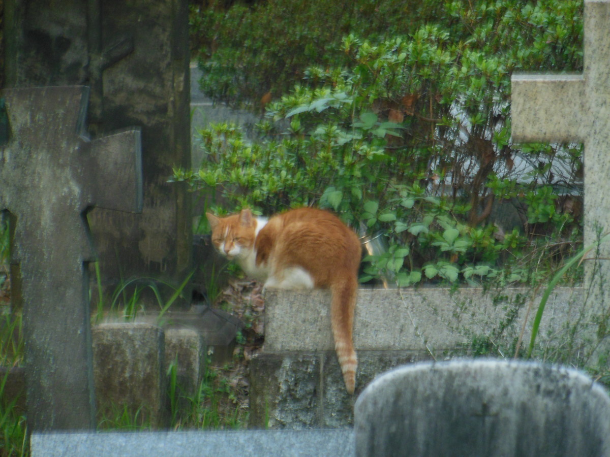 f:id:crosstalk:20191104160604j:plain:w500