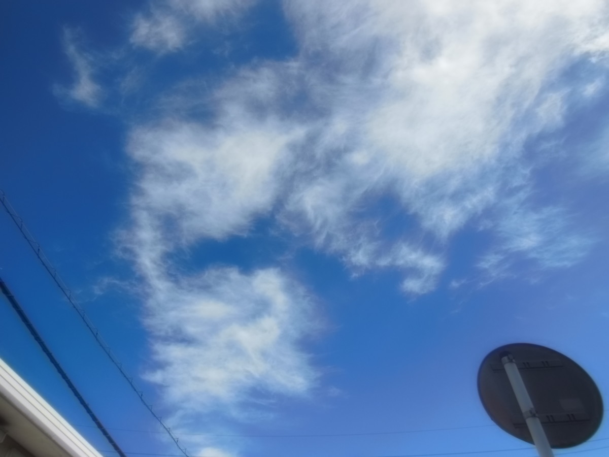 f:id:crosstalk:20191117115412j:plain:w500