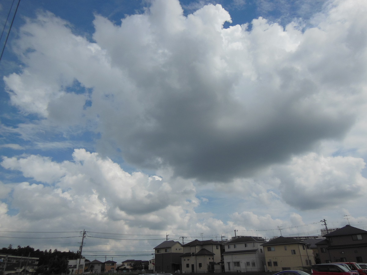 f:id:crosstalk:20200922120241j:plain:w500 f:id:crosstalk:20200922120241j:plain:w500