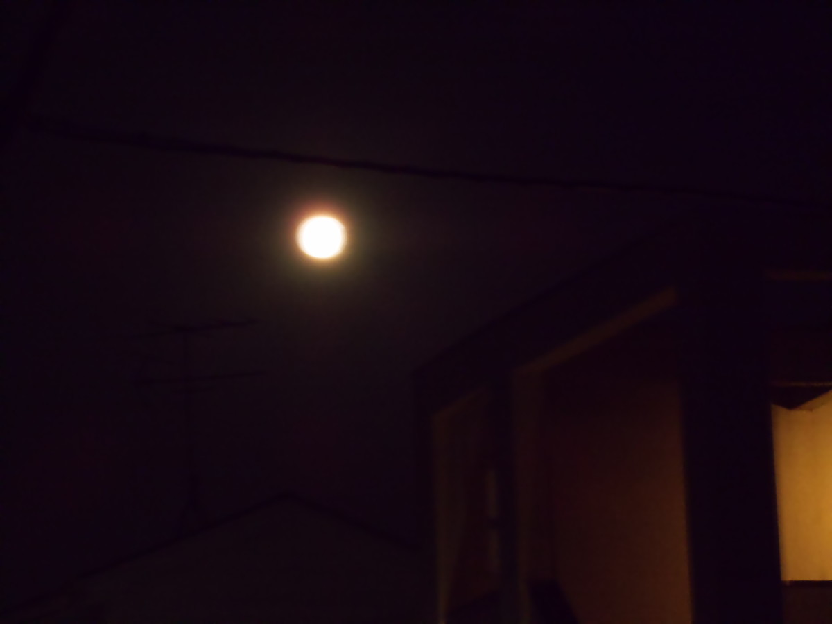 f:id:crosstalk:20201001182758j:plain:w500