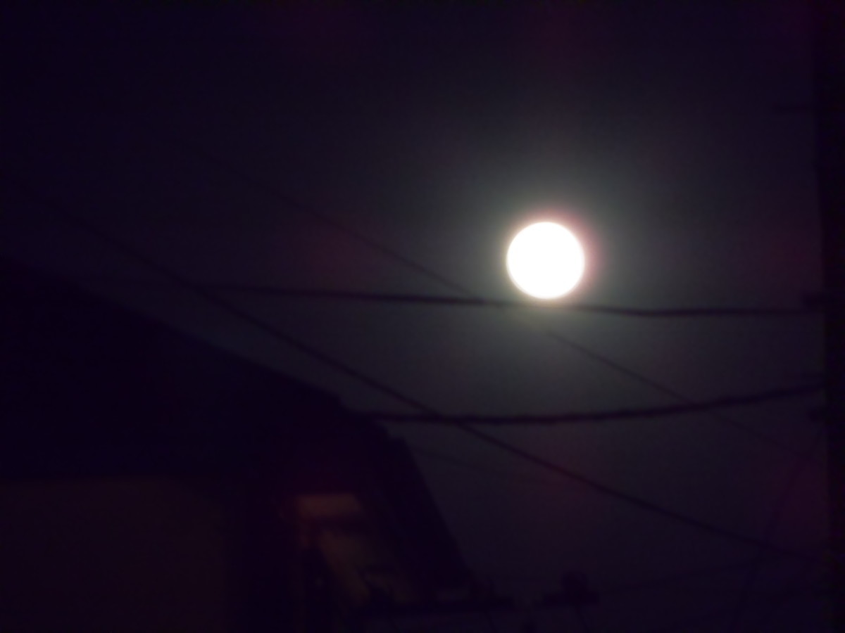 f:id:crosstalk:20201031173800j:plain:w500