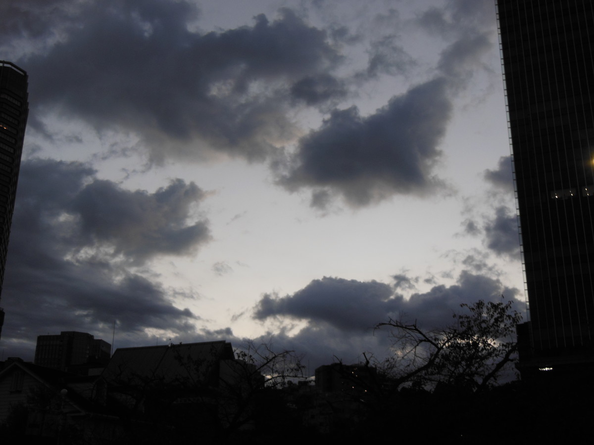 f:id:crosstalk:20201109060216j:plain:w500