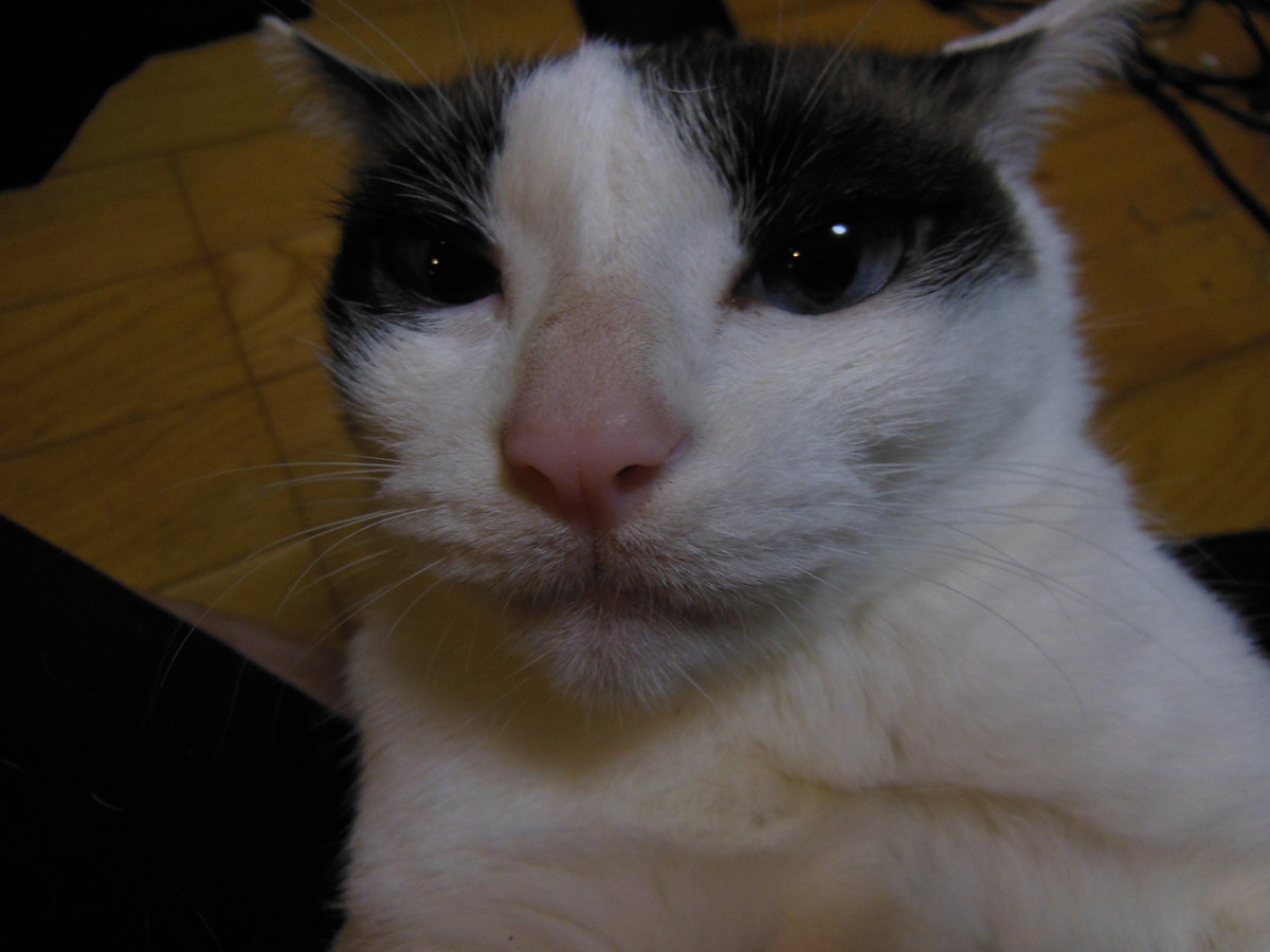 f:id:crosstalk:20201116191437j:plain:w500