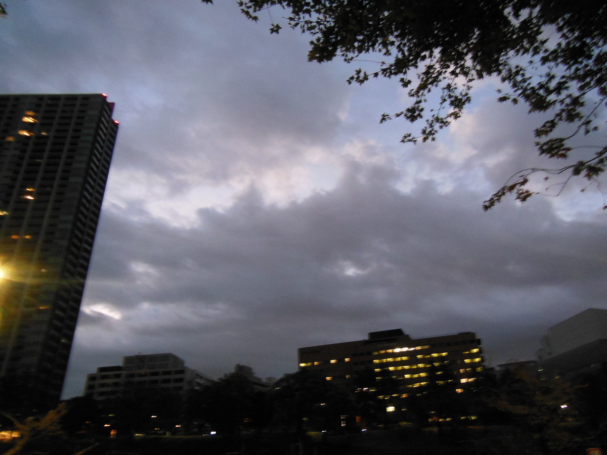 f:id:crosstalk:20201124060331j:plain:w500
