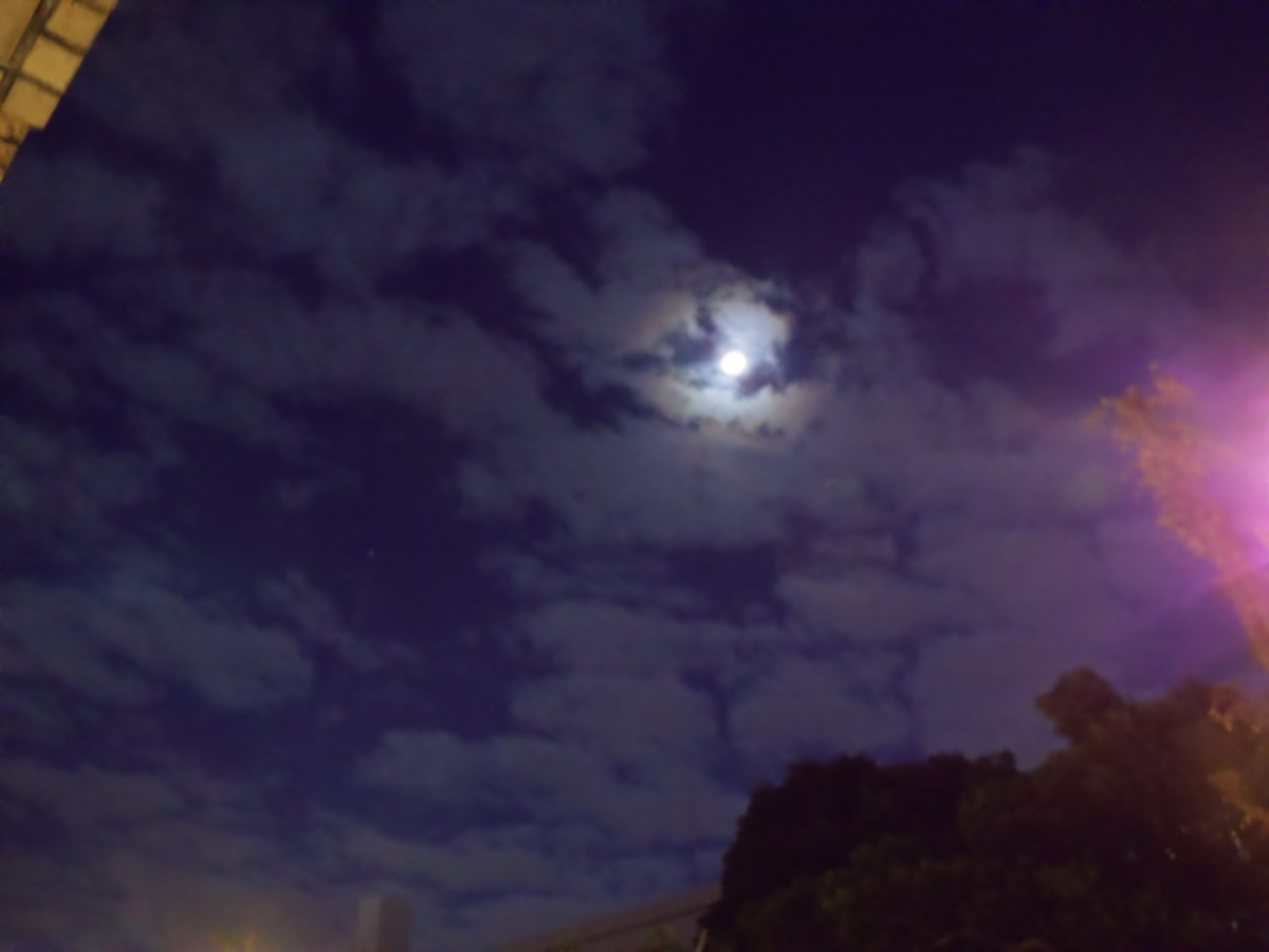 f:id:crosstalk:20201204055628j:plain:w500