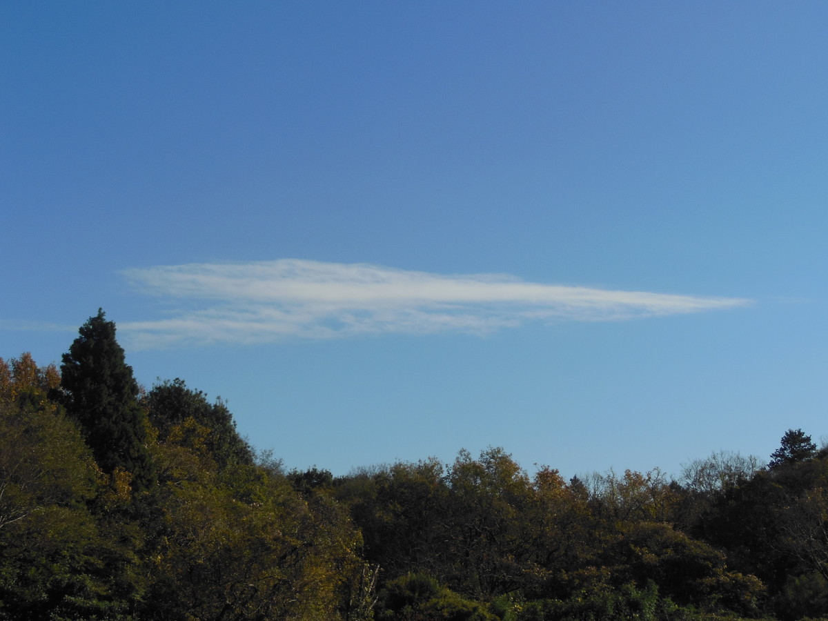 f:id:crosstalk:20201204123356j:plain:w500
