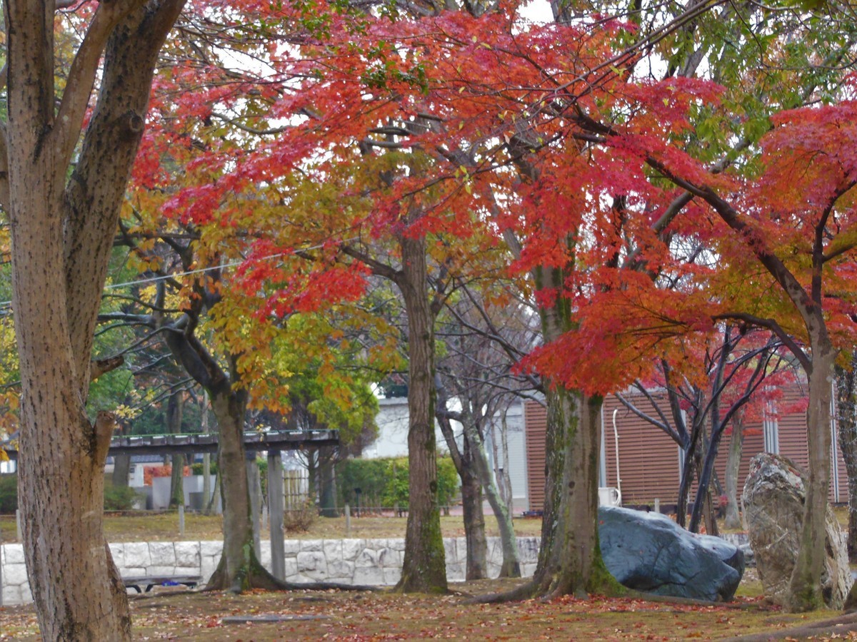 f:id:crosstalk:20201205135026j:plain:w500