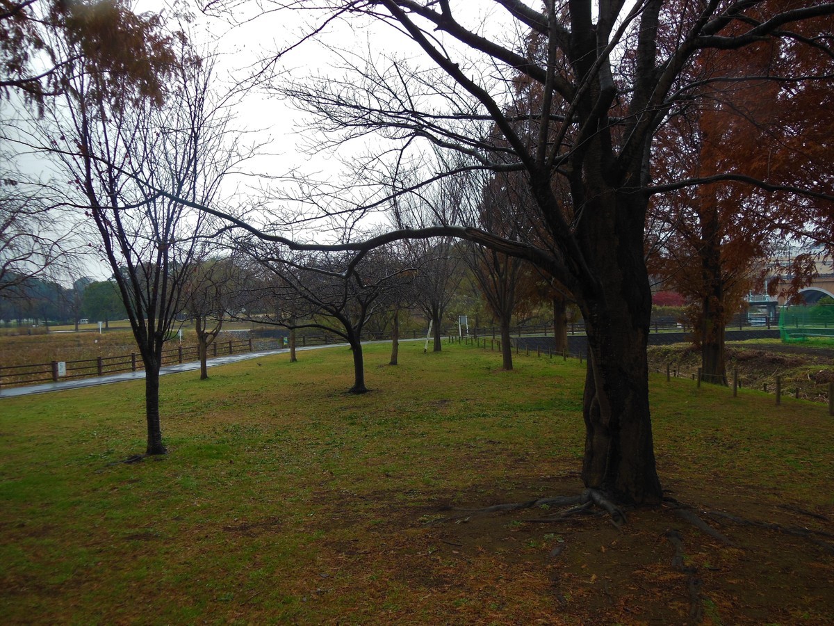 f:id:crosstalk:20201205135355j:plain:w500