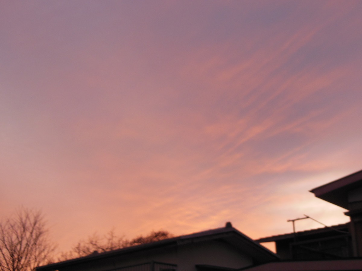 f:id:crosstalk:20210210172622j:plain:w500