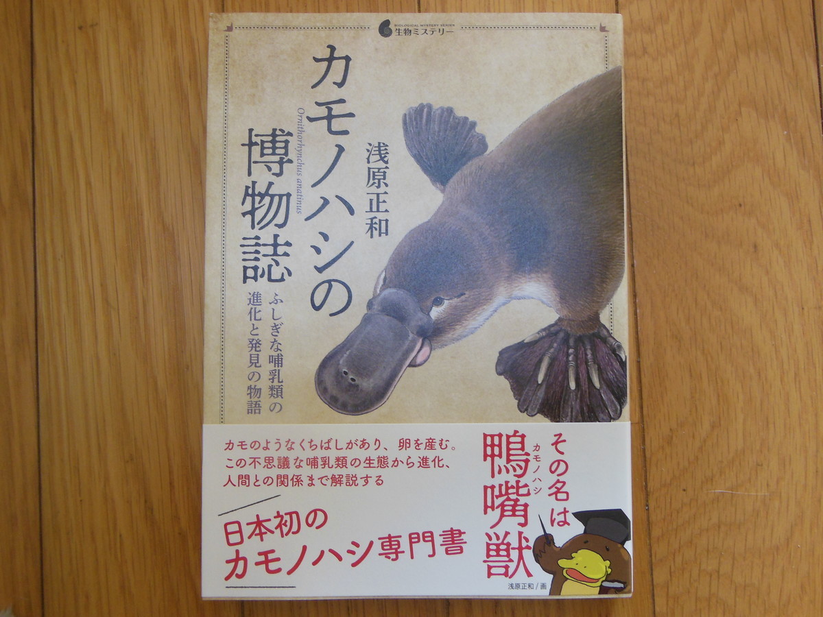 ハーマン メルヴィルとは 読書の人気 最新記事を集めました はてな