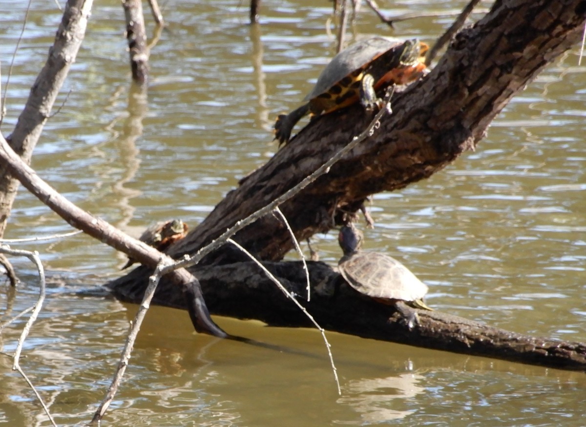 f:id:crosstalk:20211011124610j:plain:w500