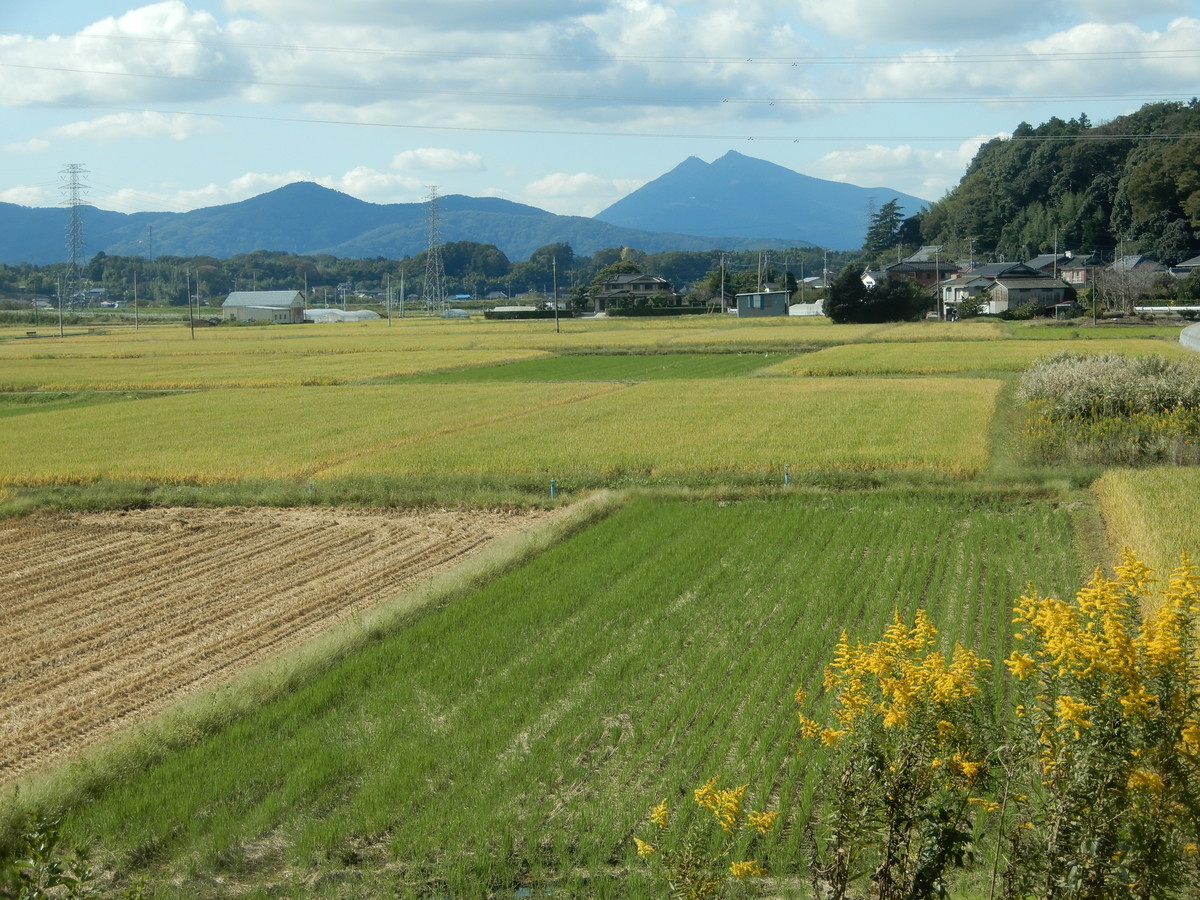 f:id:crosstalk:20211014131719j:plain:w500