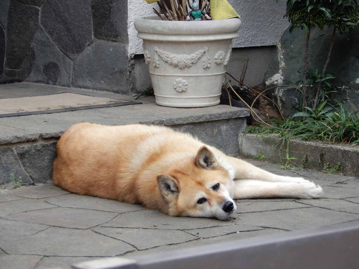 f:id:crosstalk:20211015081725j:plain:w500