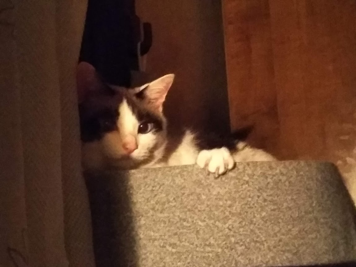 f:id:crosstalk:20211015171937j:plain:w500