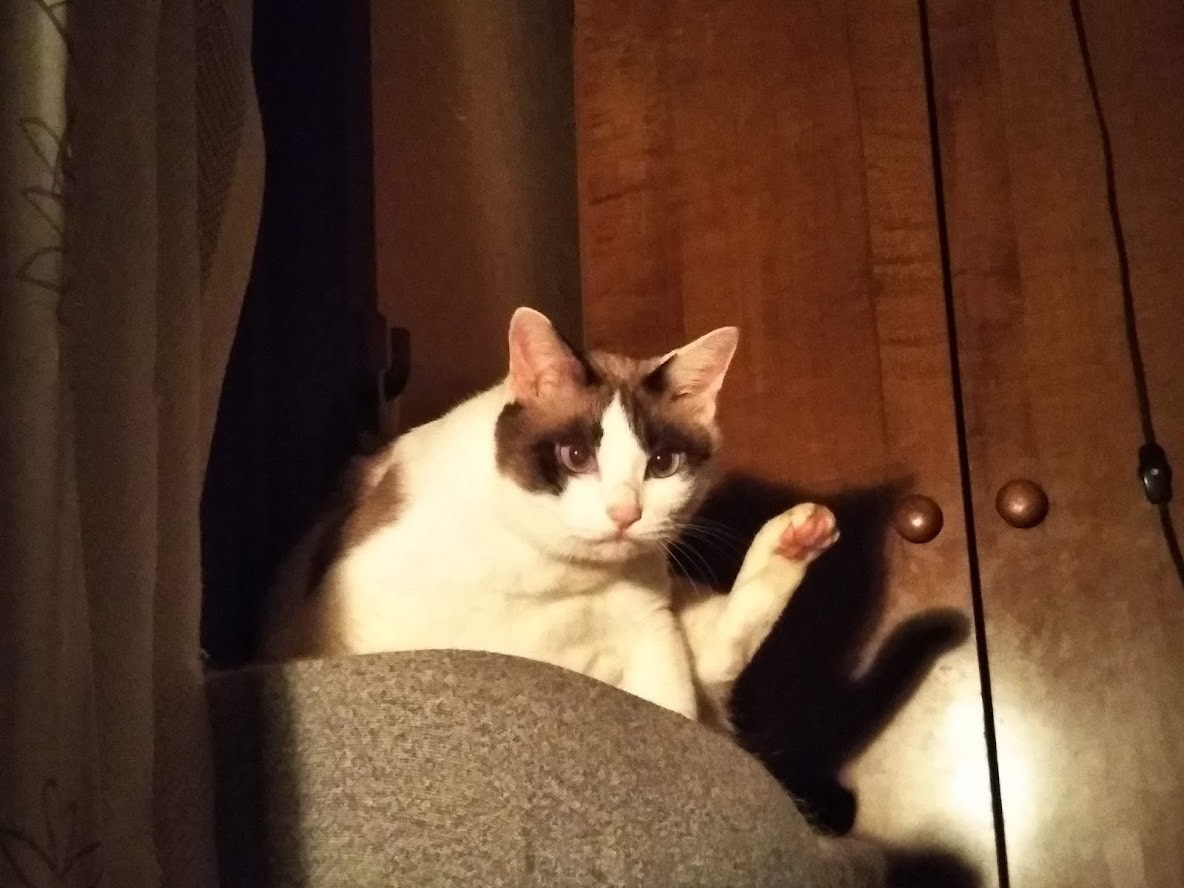 f:id:crosstalk:20211020145037j:plain:w500