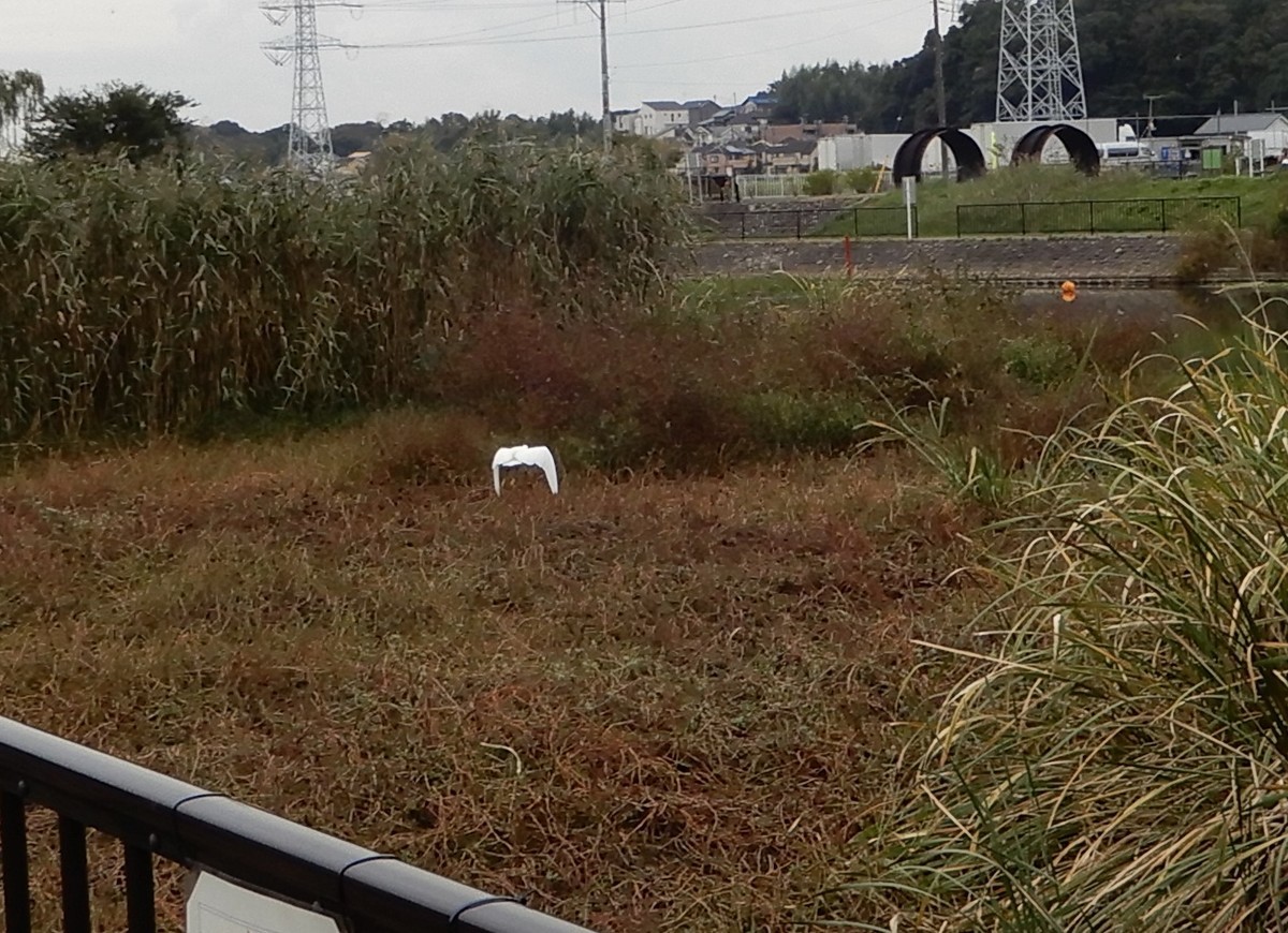 f:id:crosstalk:20211025125405j:plain:w500