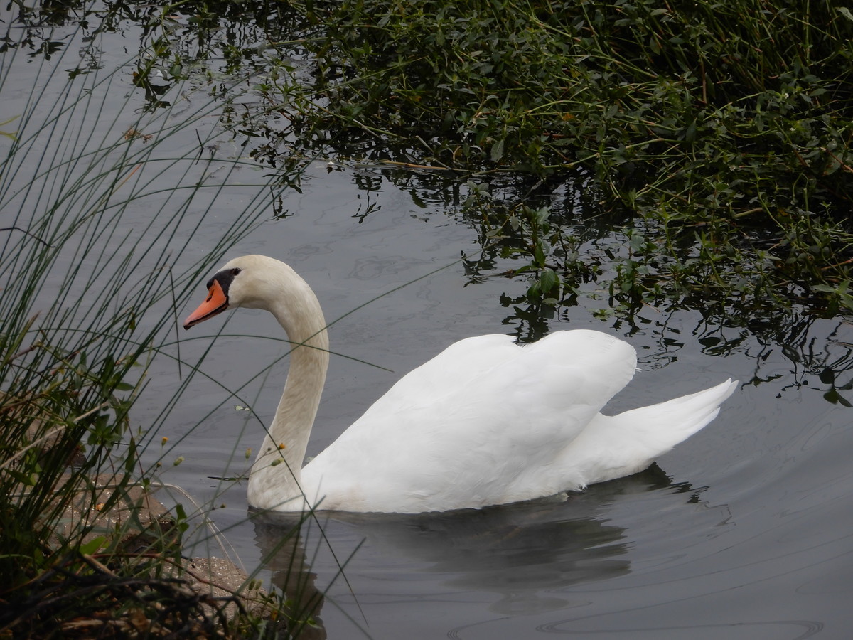 f:id:crosstalk:20211025125511j:plain:w500