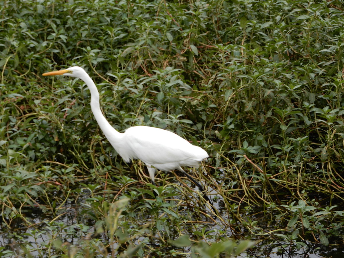 f:id:crosstalk:20211025125550j:plain:w500