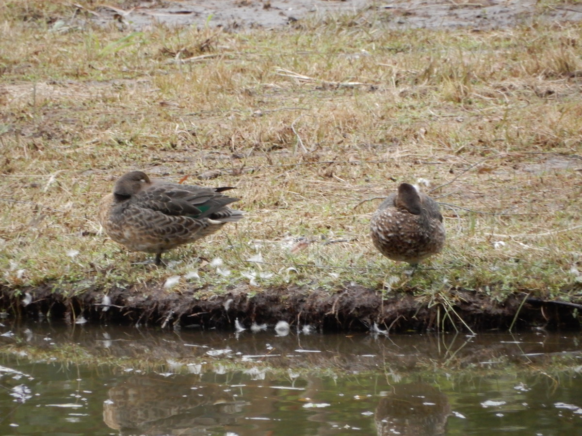 f:id:crosstalk:20211025125938j:plain:w500