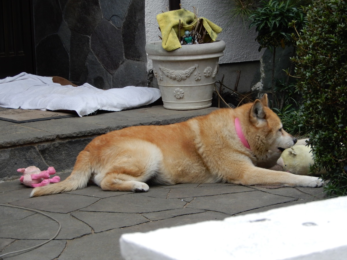 f:id:crosstalk:20211025131454j:plain:w500