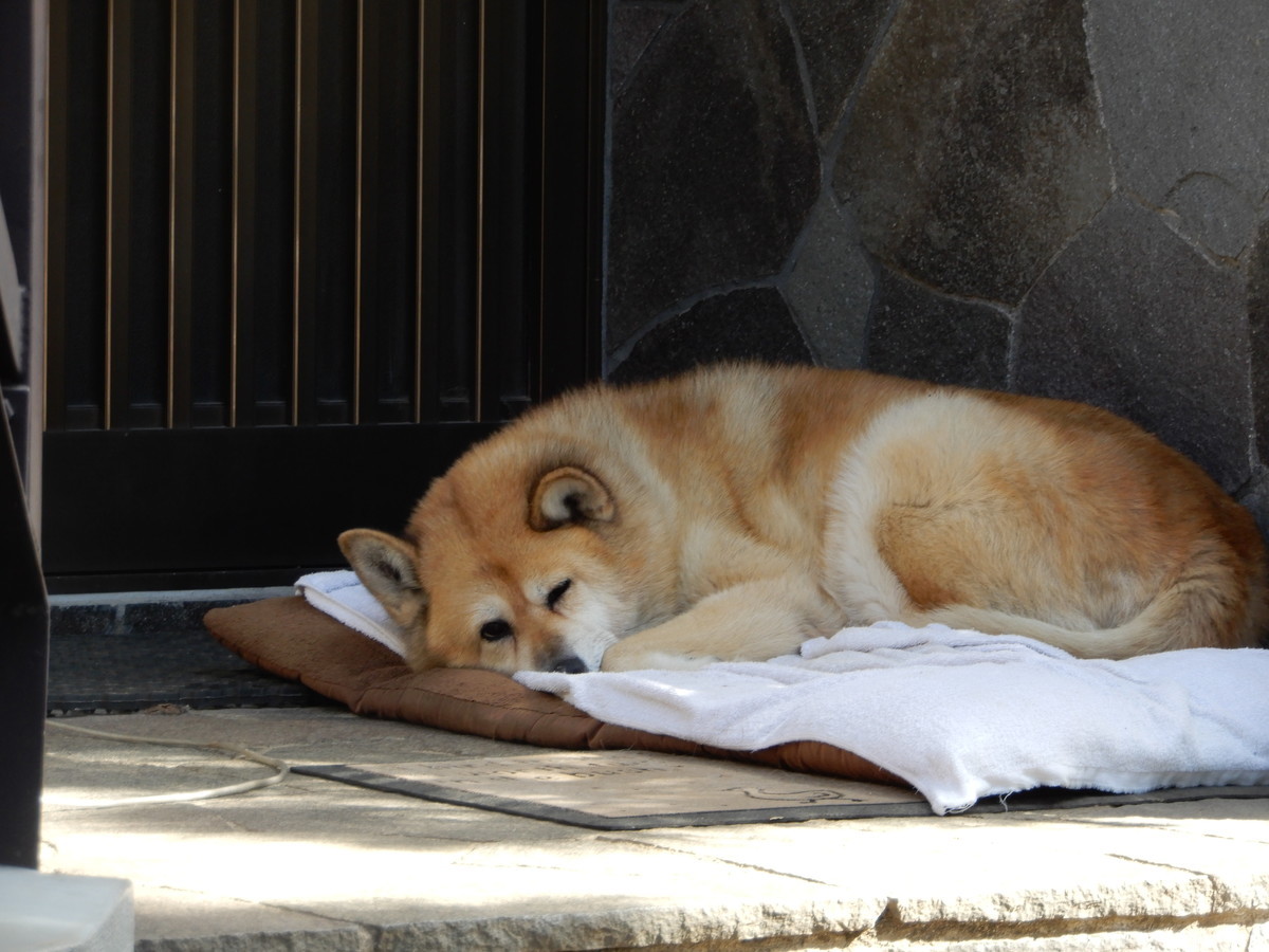 f:id:crosstalk:20211026124644j:plain:w500