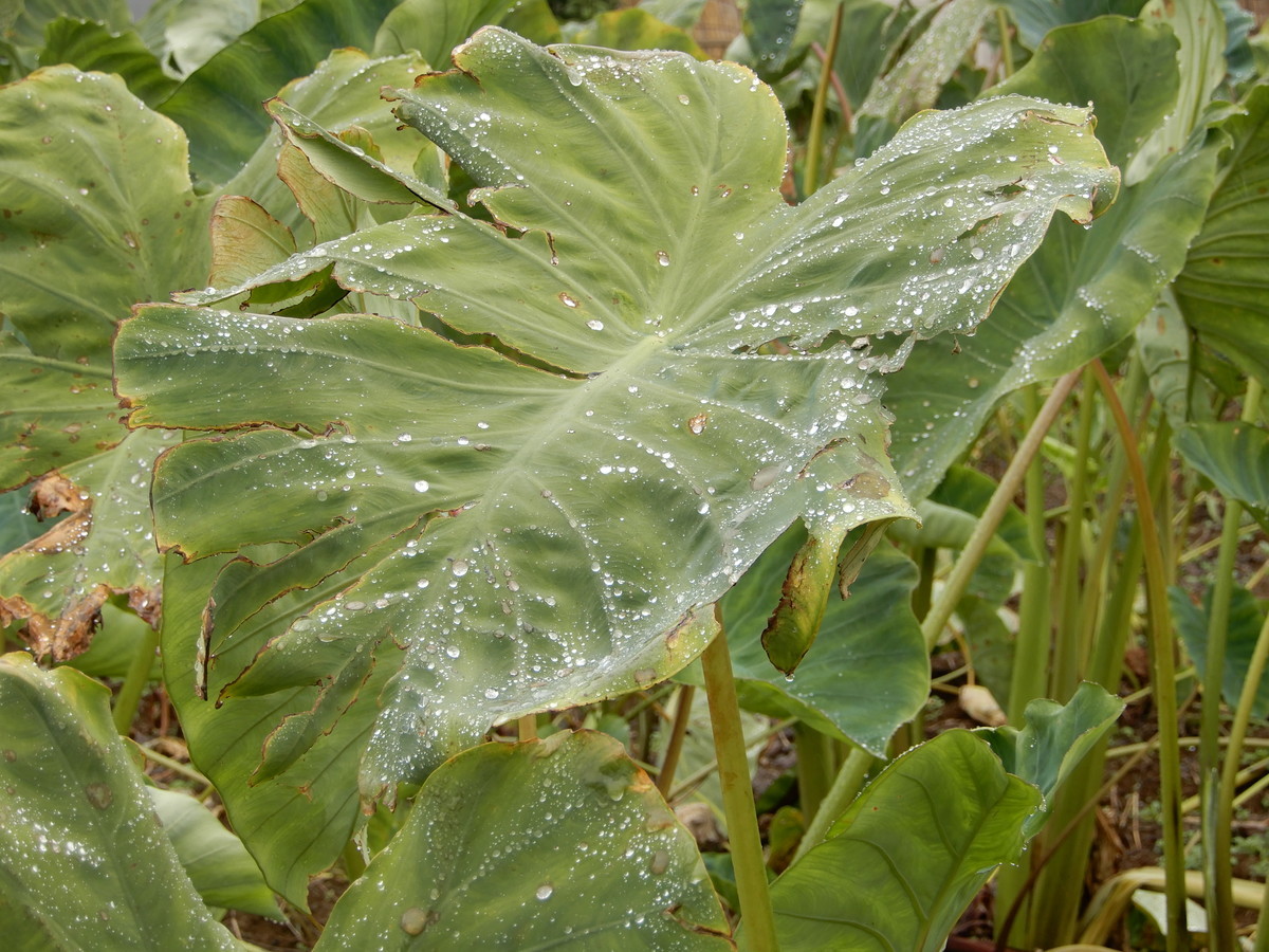 f:id:crosstalk:20211027122727j:plain:w500