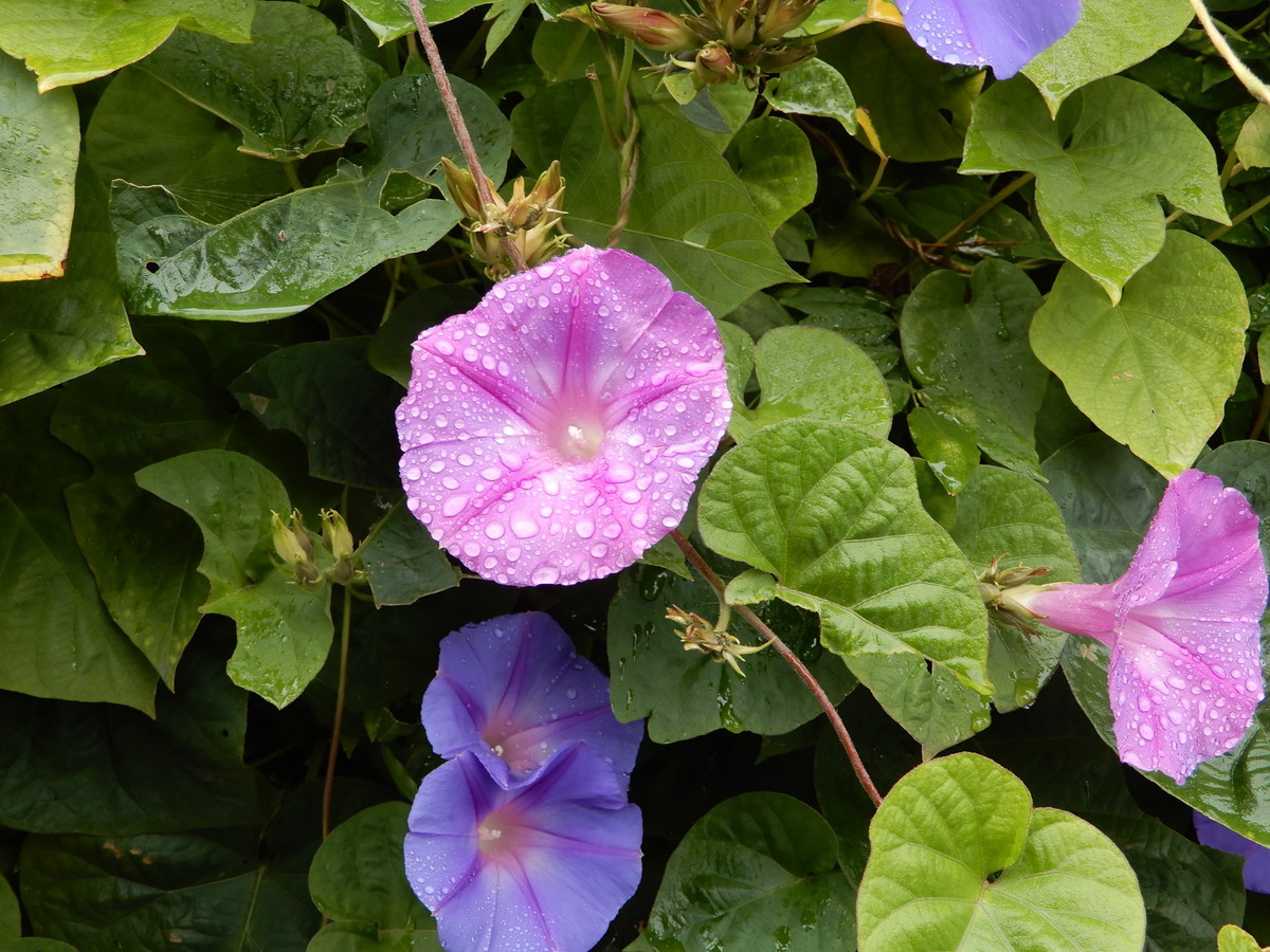 f:id:crosstalk:20211027123519j:plain:w500