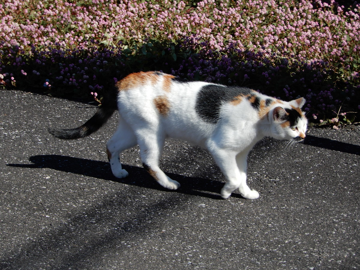 f:id:crosstalk:20211028125211j:plain:w500