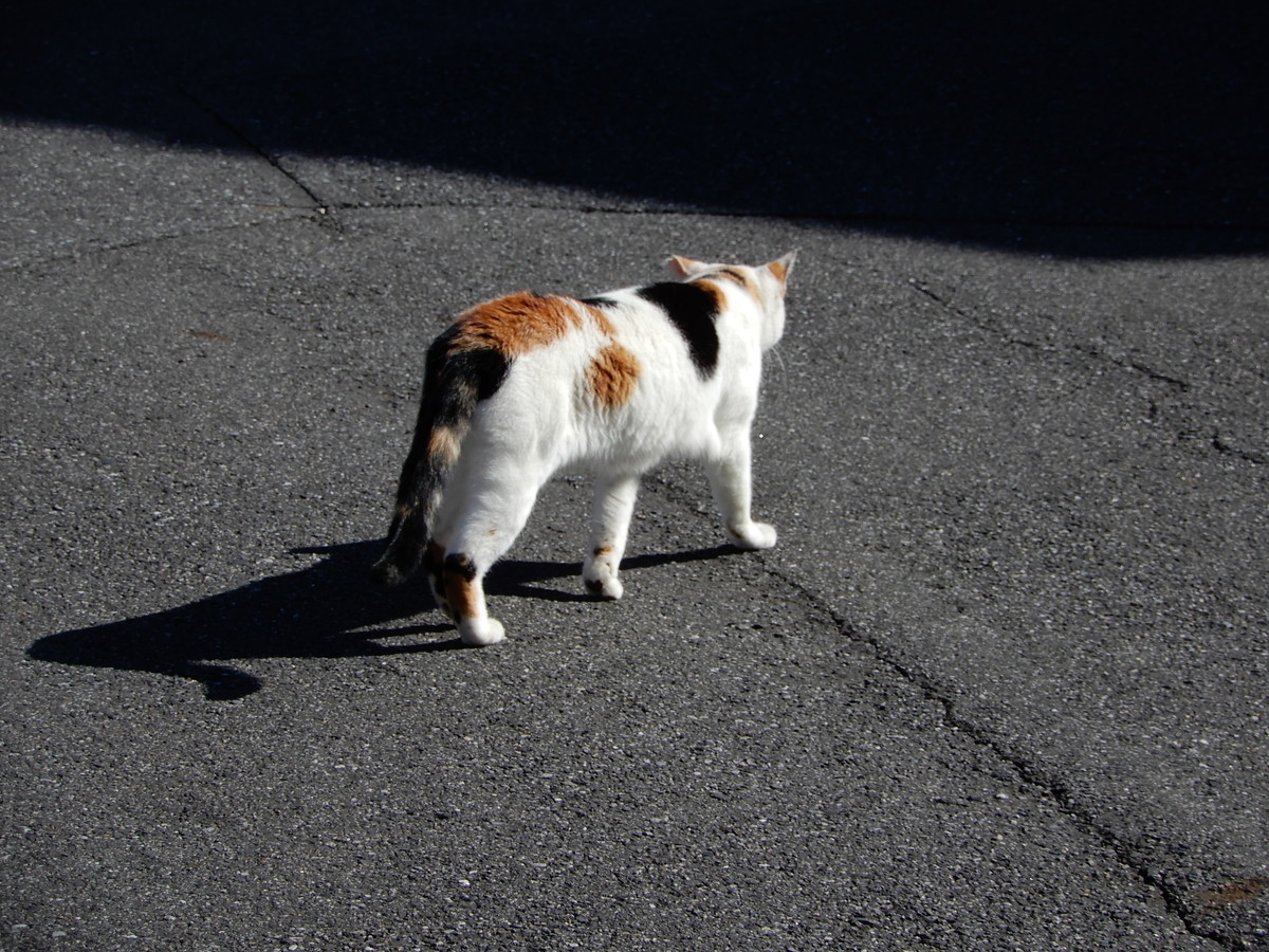 f:id:crosstalk:20211028125219j:plain:w500